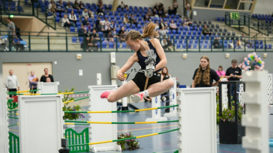 Le cheval b&acirc;ton, loisir d&eacute;cal&eacute; en plein essor en Finlande