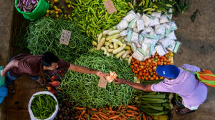 Le FMI rappelle le Sri Lanka &agrave; ses engagements contre la corruption apr&egrave;s son renflouement