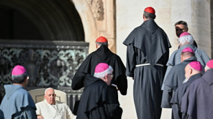 Papa se re&uacute;ne com parentes de ref&eacute;ns do Hamas e de presos palestinos 