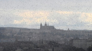 Scholz reist zu Gipfel mit 44 europ&auml;ischen L&auml;ndern nach Prag