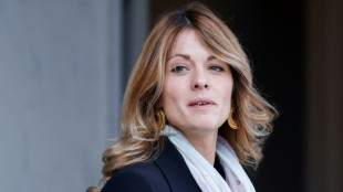 Le gouvernement annonce une nouvelle loi immigration, pr&eacute;sent&eacute;e "d&eacute;but 2025" au Parlement