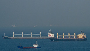 Erdogan: Putin zu Verl&auml;ngerung von Getreideabkommen mit der Ukraine bereit