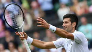 Wimbledon: Djokovic sans piti&eacute;