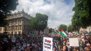 Gb, arrestati decine sostenitori di un gruppo filo-palestinese