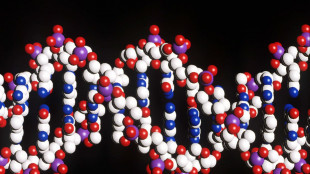 Il Dna nelle cellule non &egrave; inaccessibile come si pensava