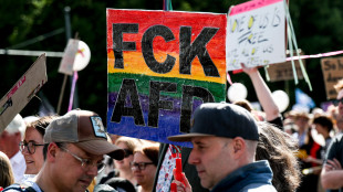 Migliaia di persone marciano in Germania contro l'estrema destra