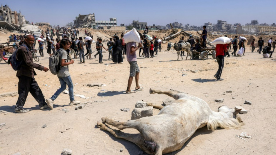 Trump warns of 'real starvation' in Gaza as aid deliveries pick up