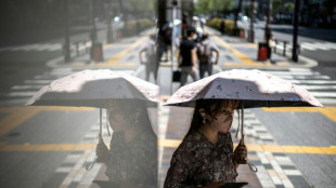 Heatstroke alerts issued in Japan as temperatures surge