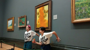 Ativistas que jogaram sopa em quadro de Van Gogh s&atilde;o declaradas culpadas em Londres