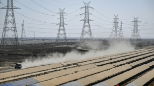 Du charbon au renouvelable, le magnat indien Adani au d&eacute;fi de la diversification de sa fortune