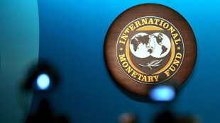 Fmi, economia Italia resiliente, mercato lavoro solido