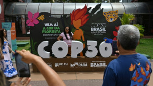 COP30 has a mascot: the fiery-haired guardian of Brazil's forest