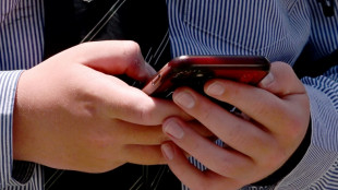 Compa&ntilde;eros virtuales con IA presentan riesgos para los j&oacute;venes, advierte una ONG