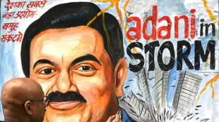 Las acciones del conglomerado indio Adani suben tras anunciar un reembolso de cr&eacute;ditos