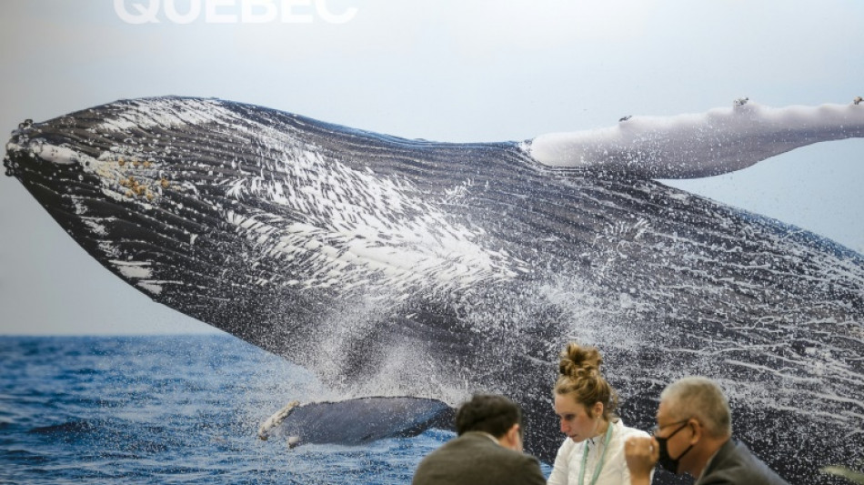 La question du financement crispe les n&eacute;gociations de la COP15