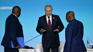 Putin promises free grain at Africa summit