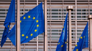 Ue, su dazi ora valuteremo i prossimi passi, consultando Stati