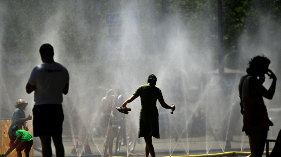 Gr&uuml;ne fordern Pflanzung einer Million B&auml;ume und mehr Hitzeschutz