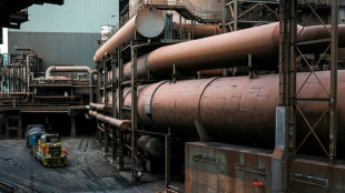 Habeck: Gr&uuml;nen Stahl und Zement zum Standard machen