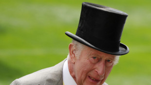 Re Carlo elogia la risposta della polizia ai disordini Gb