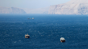 Wsj, 'Forzato il blocco navale, gli Usa sparano contro imbarcazione vicino all'Iran