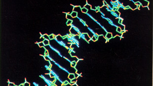 Tumori, accertata la superiorit&agrave; delle terapie personalizzate