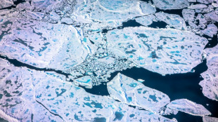 Auch f&uuml;r Eisb&auml;ren wichtig: Presseisr&uuml;cken in Arktis wegen Klimawandels auf R&uuml;ckzug