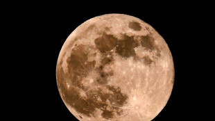 Empresa japonesa aborta missão da sonda Resilience após fracasso em alunissagem