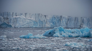 Artico, scoperti batteri 'impossibili' che influiscono sul clima