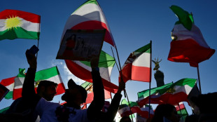 Unas 80.000 personas desfilan en Berl&iacute;n en apoyo de las manifestaciones en Ir&aacute;n