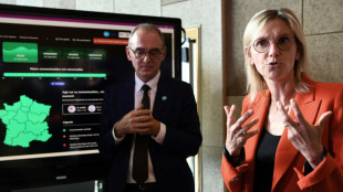 En r&eacute;gion parisienne, un hiver de vigilance pour les anges gardiens de l'&eacute;lectricit&eacute;