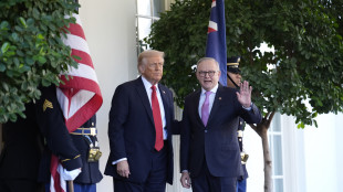 Trump, stop guerra in Ucraina? Penso ci arriveremo