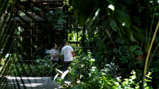 Costa Rica cierra los zool&oacute;gicos estatales tras 11 a&ntilde;os de litigios