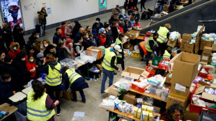 "Spiegel": Bundespolizei stellt Einreiseversuche mit vorget&auml;uschtem Ukraine-Aufenthalt fest