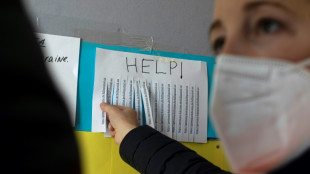 IW: Ukrainische Gefl&uuml;chtete haben gute Chancen auf dem Arbeitsmarkt