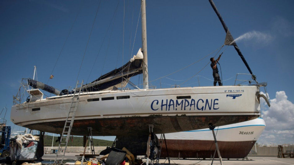 Revuelta de orcas, terror de veleros en aguas espa&ntilde;olas  