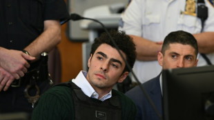 La abogada del acusado de matar a un ejecutivo de seguro m&eacute;dico en EEUU pide un "juicio justo"