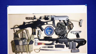 Pol&iacute;cia desmantela ataque isl&acirc;mico &agrave; Marcha do Orgulho na &Aacute;ustria