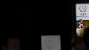 El OIEA lamenta la "lenta" instalaci&oacute;n de c&aacute;maras en plantas nucleares de Ir&aacute;n