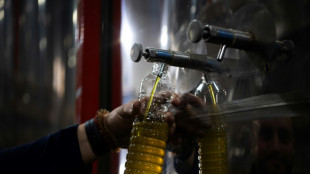 El desempleo en Espa&ntilde;a ascendi&oacute; al 11,36% en el primer trimestre