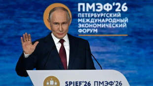 Putin rules out imminent Zelensky meeting