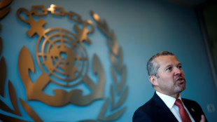 El canal de Panam&aacute; "seguir&aacute;" en manos de este pa&iacute;s, afirma el secretario general de la OMI