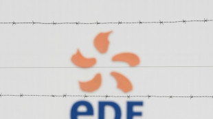 EDF, Air France-KLM, el Estado franc&eacute;s accionista otra vez al rescate de las "joyas" francesas