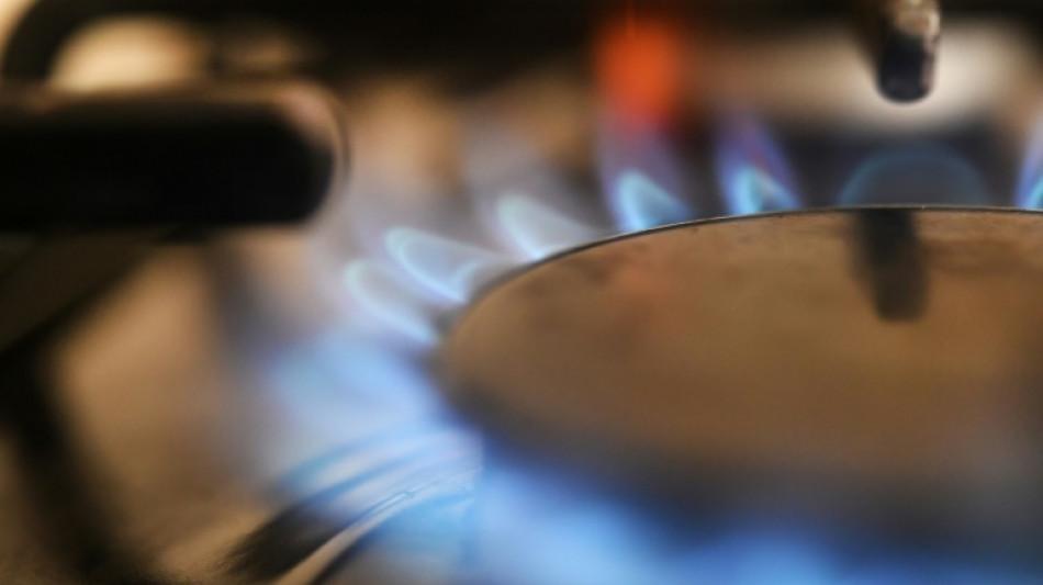 Ressusciter le projet de gazoduc MidCat, un pari ambitieux mais compliqu&eacute;