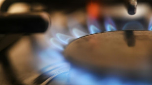 Ressusciter le projet de gazoduc MidCat, un pari ambitieux mais compliqu&eacute;