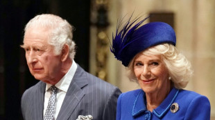 Camilla, de ma&icirc;tresse diabolis&eacute;e &agrave; reine couronn&eacute;e 