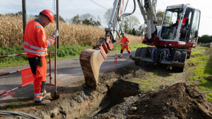 Klagen gegen Erdkabel unter &Auml;ckern scheitern vor Bundesverwaltungsgericht
