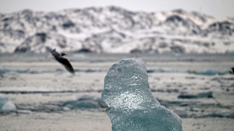 What does Greenland's mining industry look like?