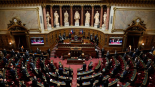 Budget de la S&eacute;cu: le S&eacute;nat vote un an de stage en d&eacute;sert m&eacute;dical pour les m&eacute;decins