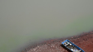 Limitar el calentamiento del planeta a +1,5&ordm; C no ser&aacute; suficiente, estiman investigadores